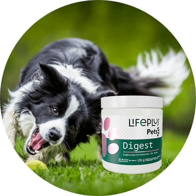 5889-digest 5889-digest