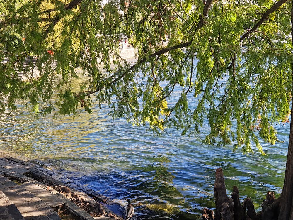 Isole die Brissagoe unser zweites zu Hause